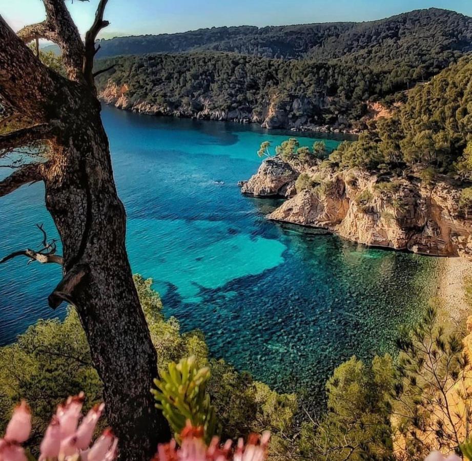 Logement Vue Mer Splendide - Situe A 50 Metres Du Bord De Mer Et 2 Minutes Des Plages - Bandolina エクステリア 写真