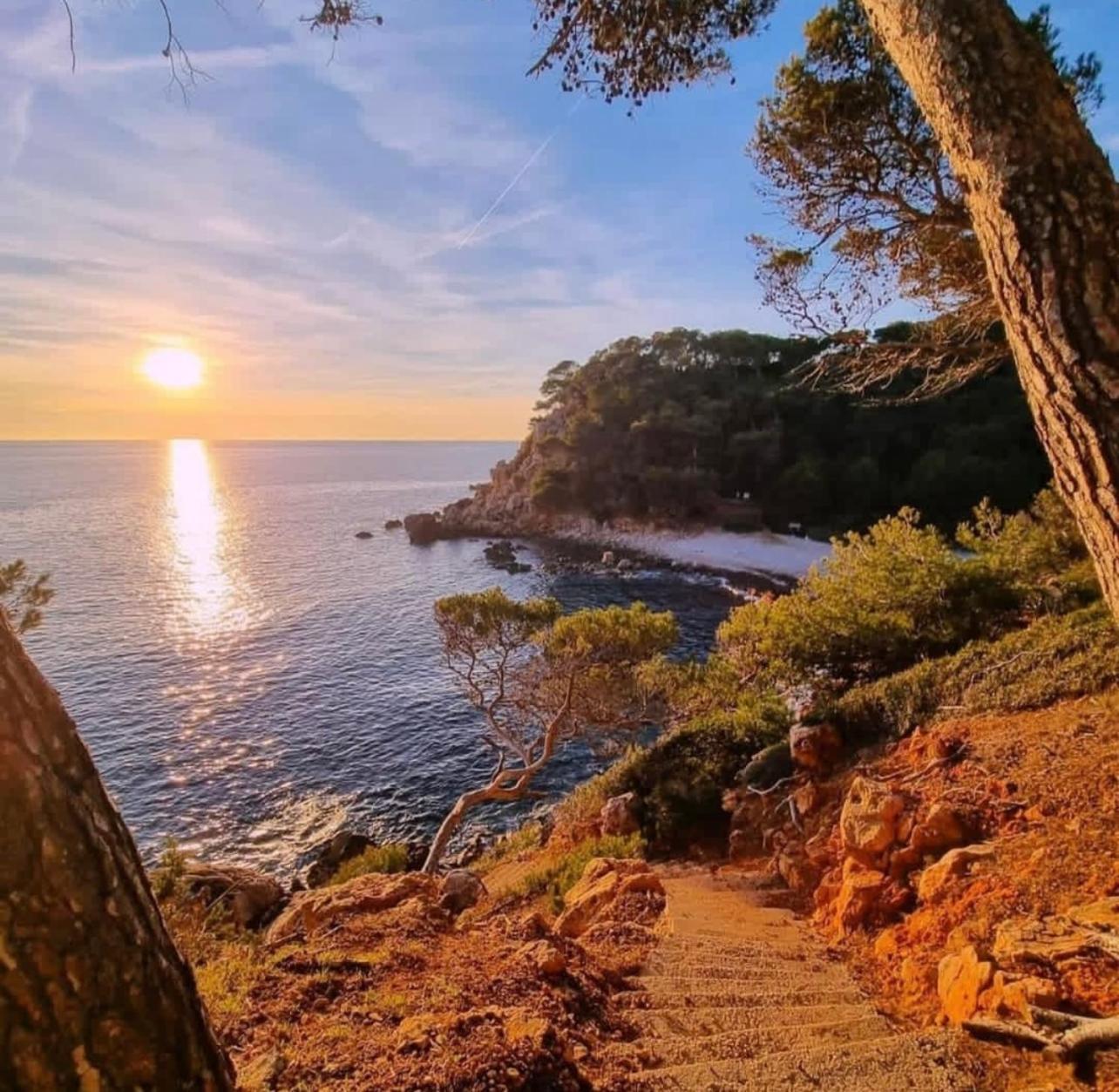 Logement Vue Mer Splendide - Situe A 50 Metres Du Bord De Mer Et 2 Minutes Des Plages - Bandolina エクステリア 写真