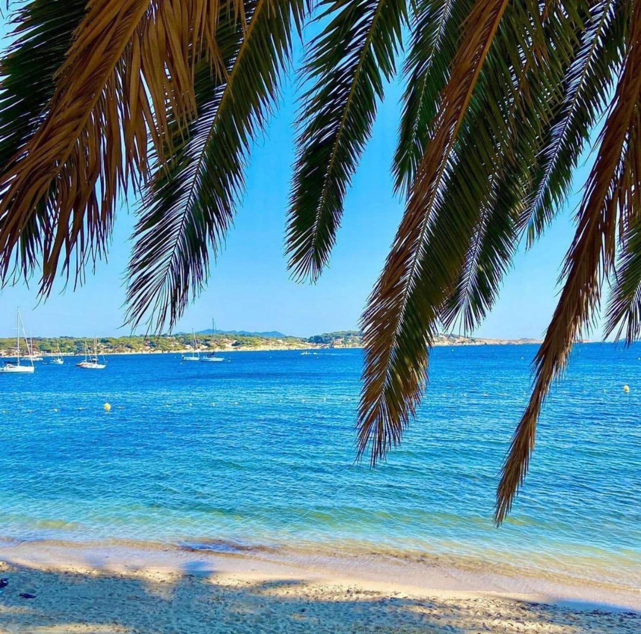 Logement Vue Mer Splendide - Situe A 50 Metres Du Bord De Mer Et 2 Minutes Des Plages - Bandolina エクステリア 写真