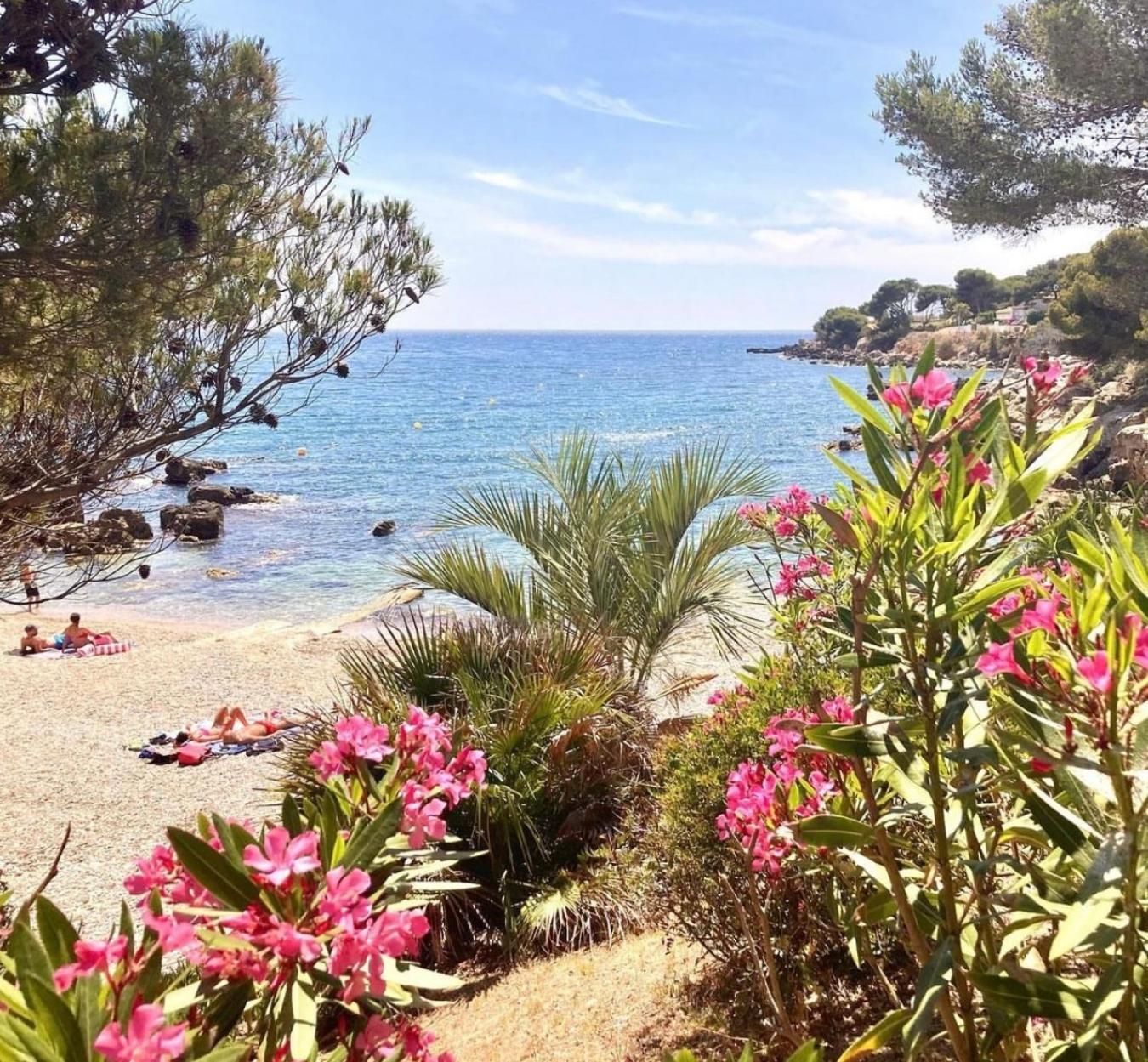 Logement Vue Mer Splendide - Situe A 50 Metres Du Bord De Mer Et 2 Minutes Des Plages - Bandolina エクステリア 写真