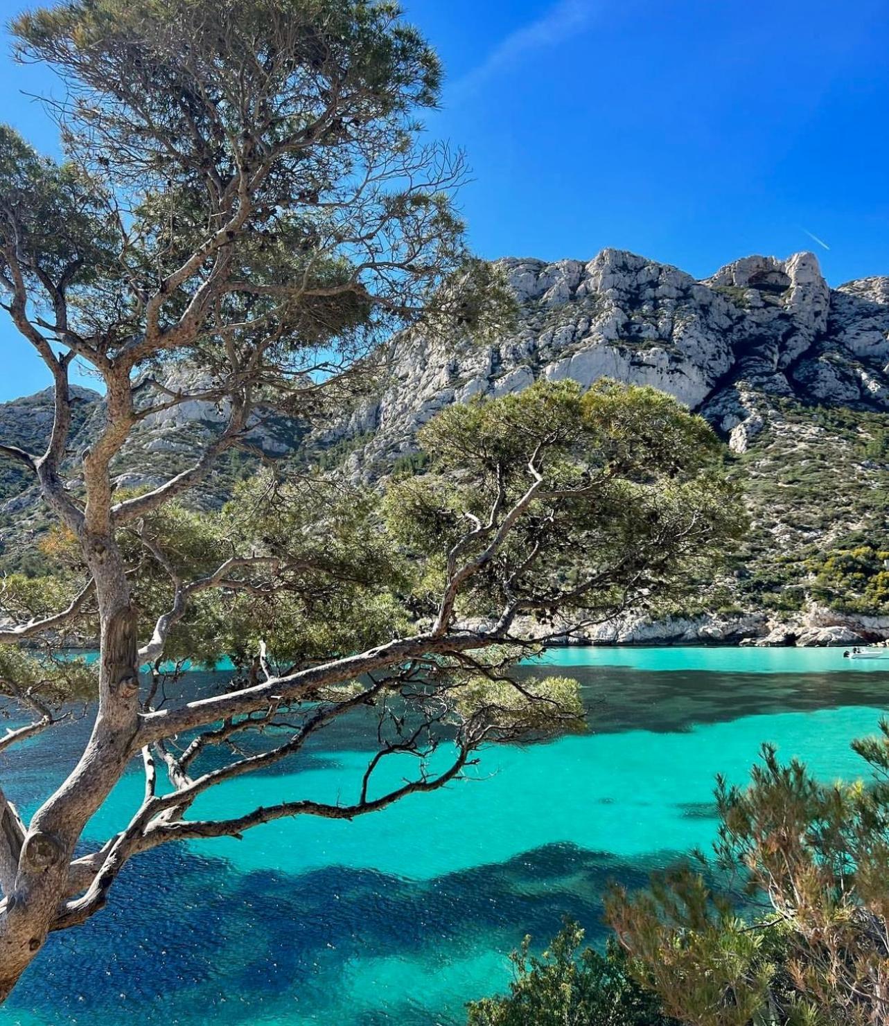 Logement Vue Mer Splendide - Situe A 50 Metres Du Bord De Mer Et 2 Minutes Des Plages - Bandolina エクステリア 写真